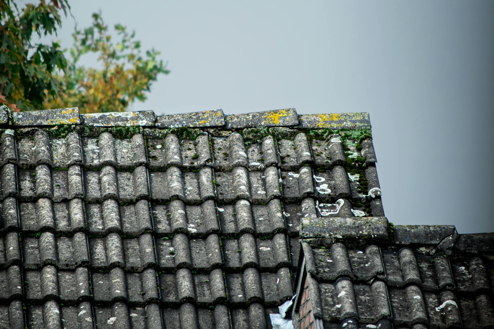 Symbolbild zum Thema Hagelschäden Deutschland