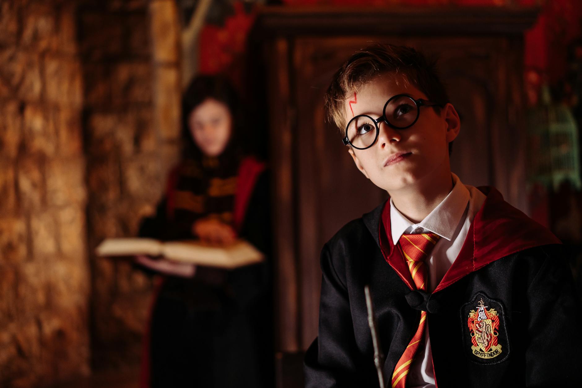 Detailansicht: Harry Potter Reunion