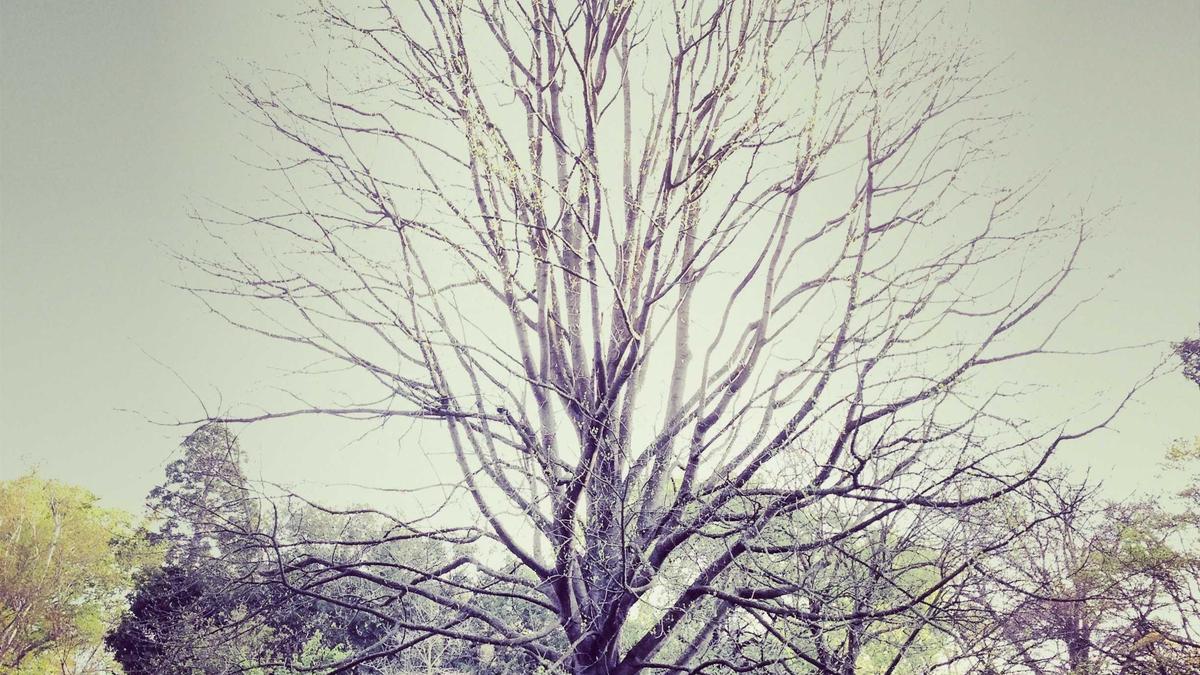 Harry Potter Serie Detailansicht: Harry Potter Serie