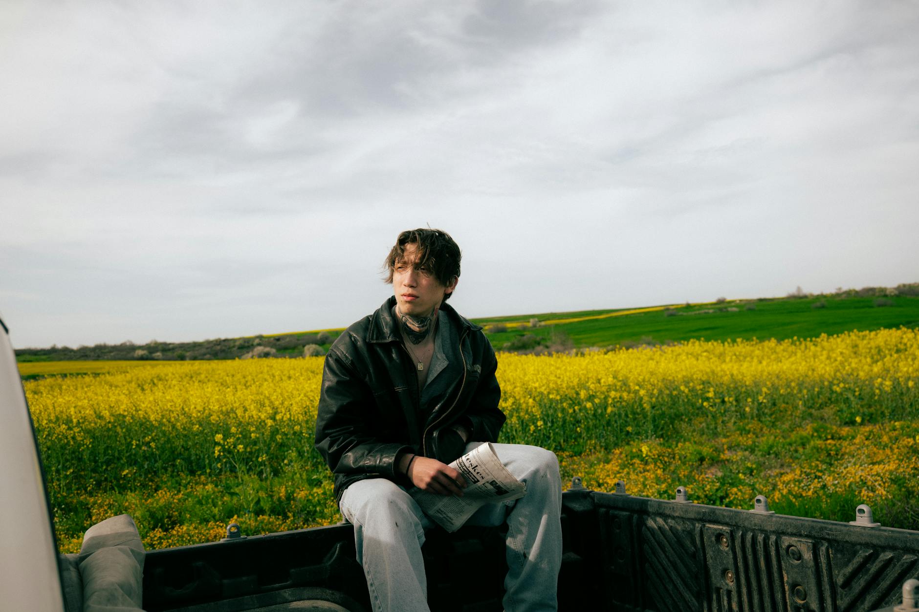 Illustration zu Harry Styles