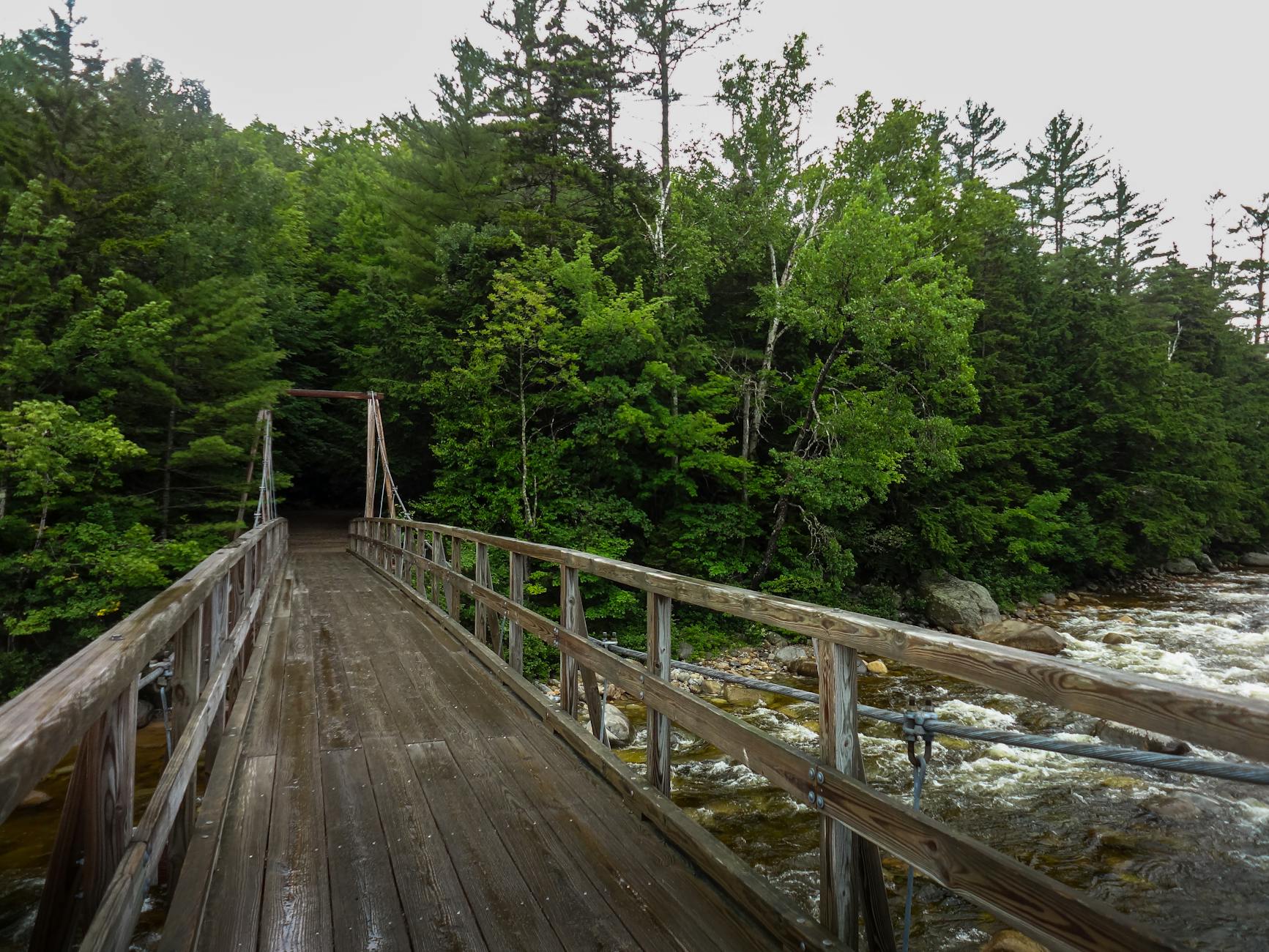 Detailansicht: Hartberg – Rapid Wien