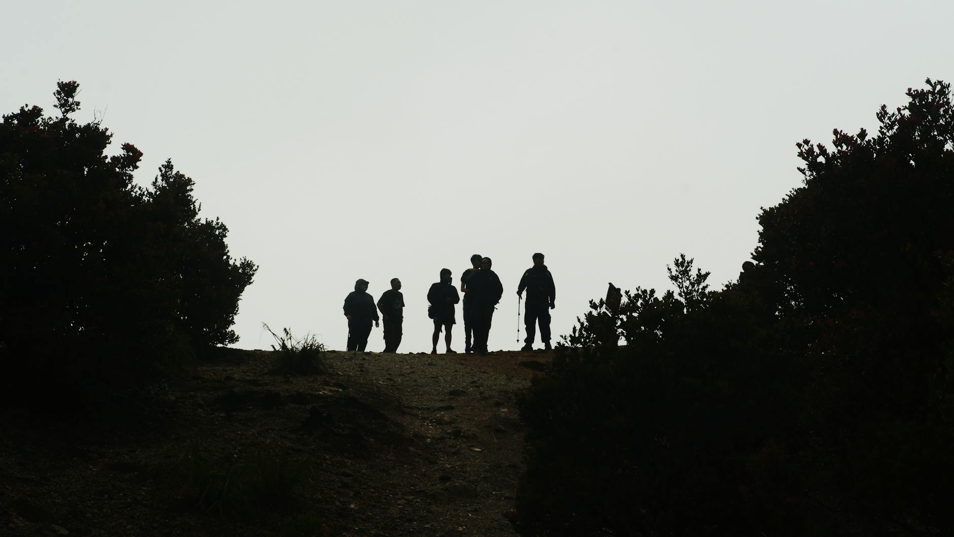 Detailansicht: Hartz Und Herzlich