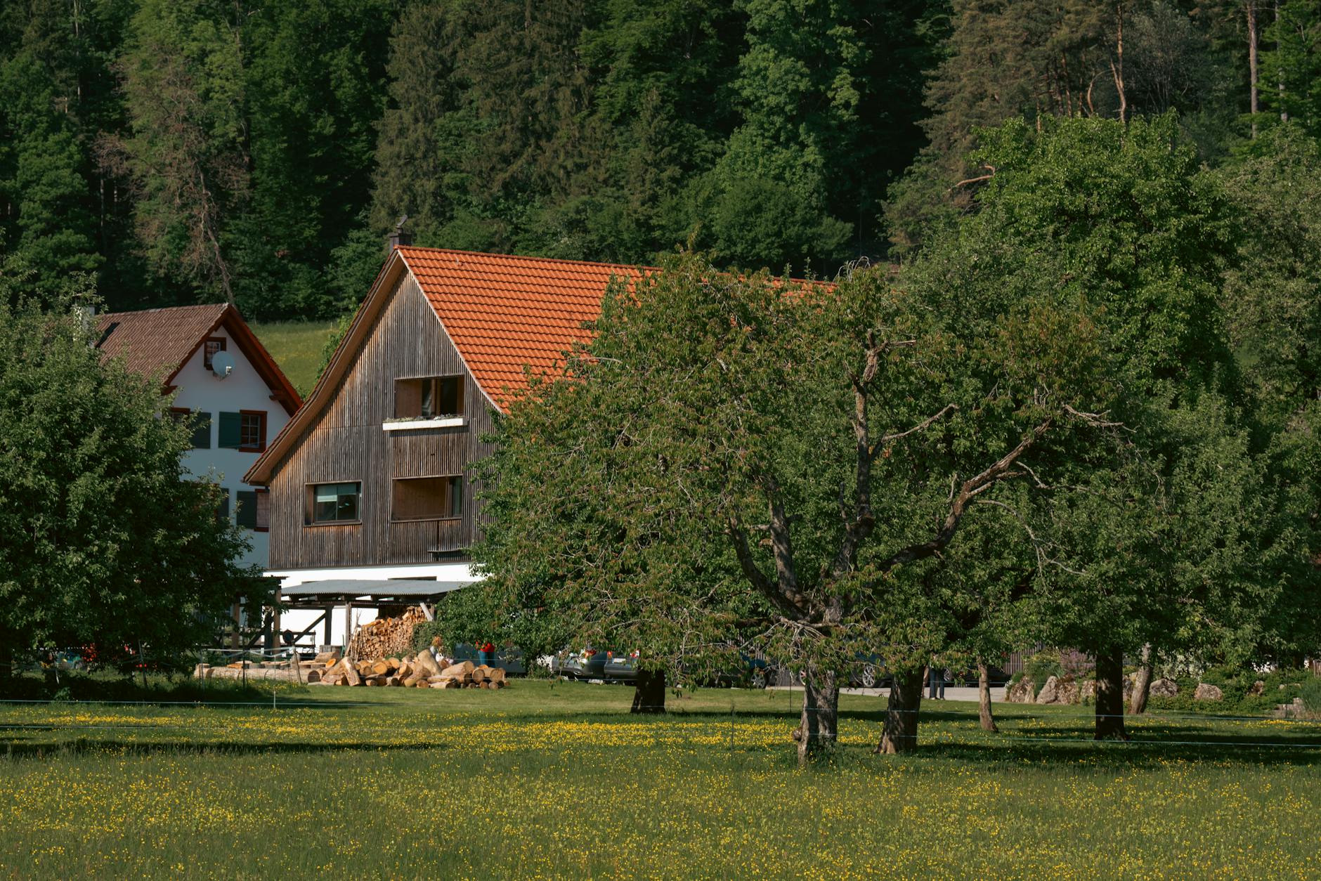 Symbolbild zum Thema Hausbau Naturschutzgebiet