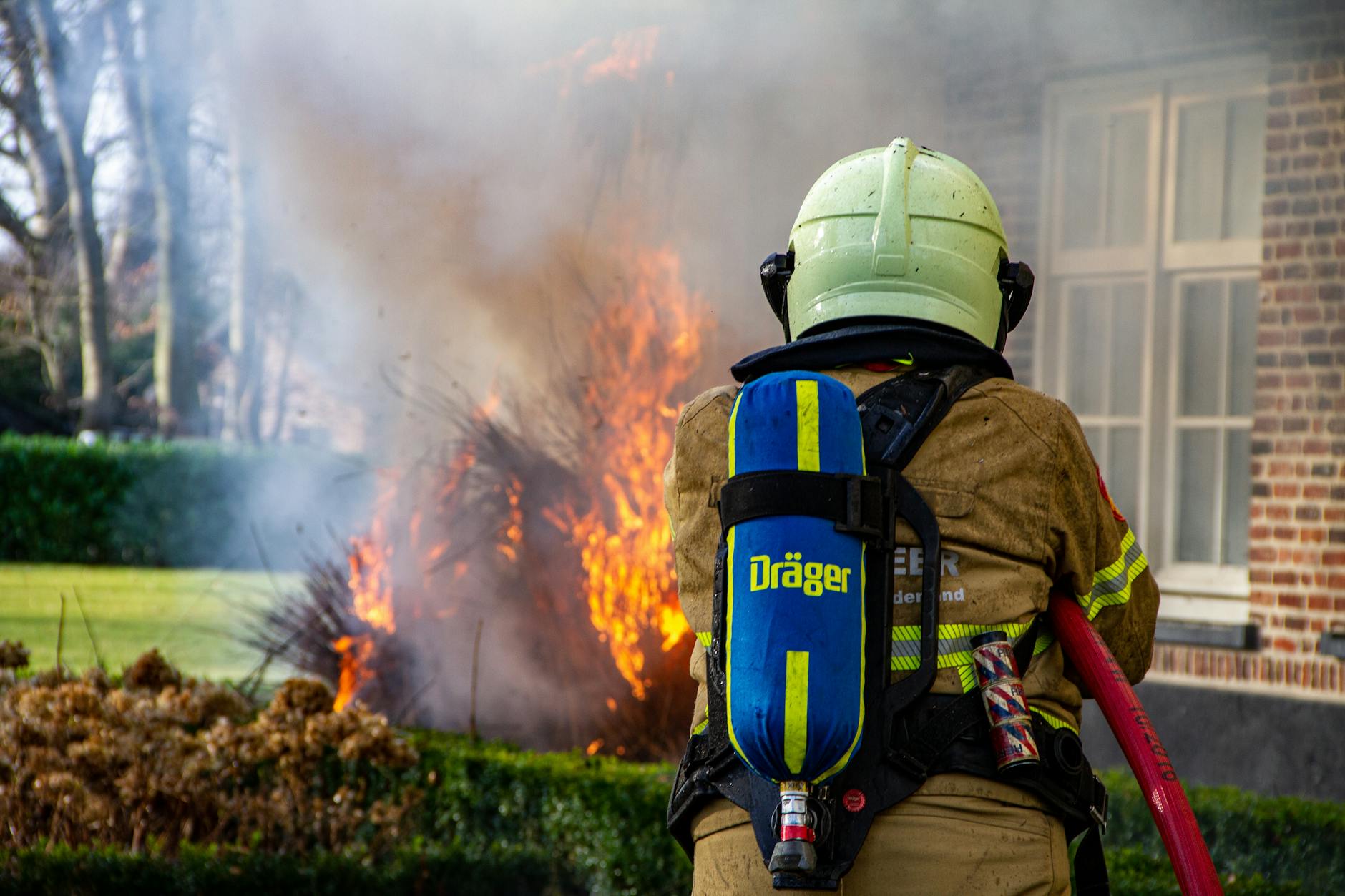 Detailansicht: Hausbrand Weingarten
