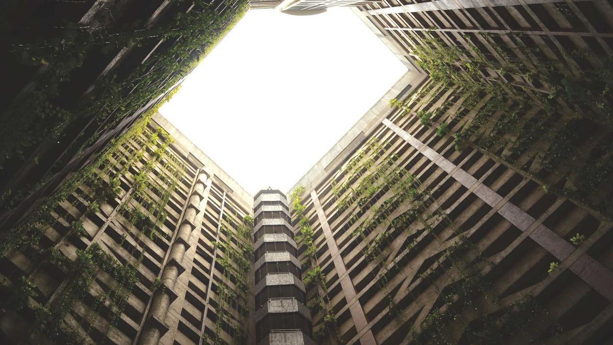 Heckenschnitt Zeitraum Illustration zu Heckenschnitt Zeitraum