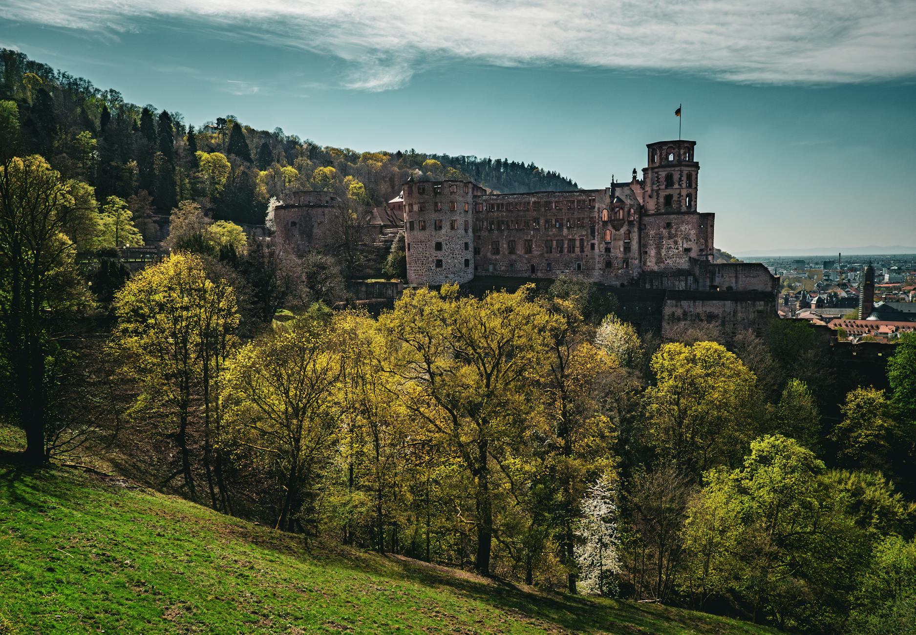 Detailansicht: Heidelberg Vermisster Gefunden