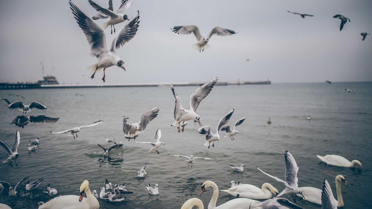 Symbolbild zum Thema Heiko Kiesow