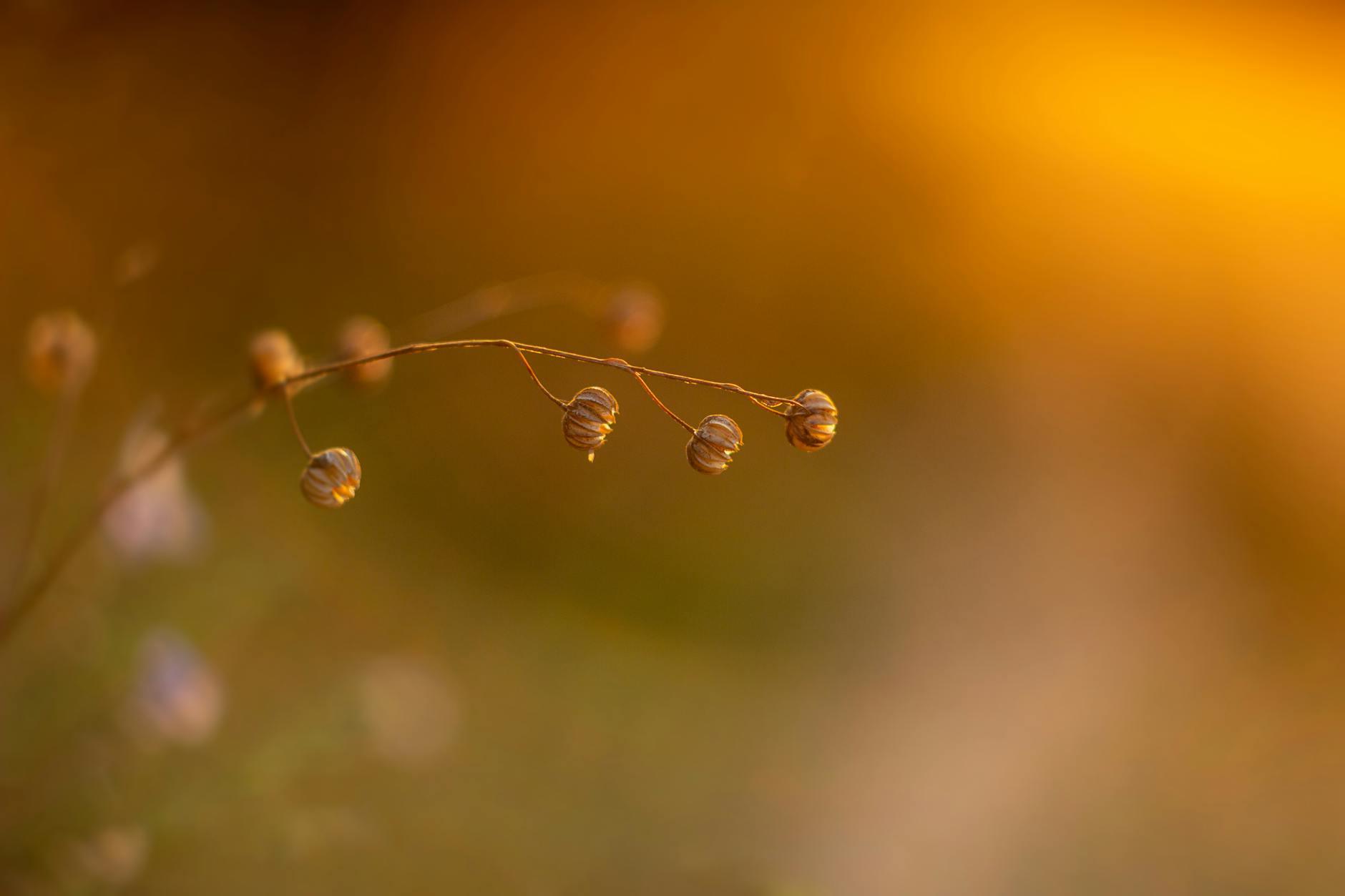 Illustration zu Heilbronn Bahnhof Diebstahl