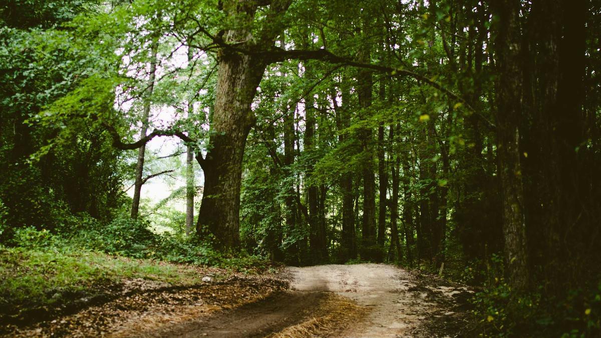 Herbst Hintergrundbilder