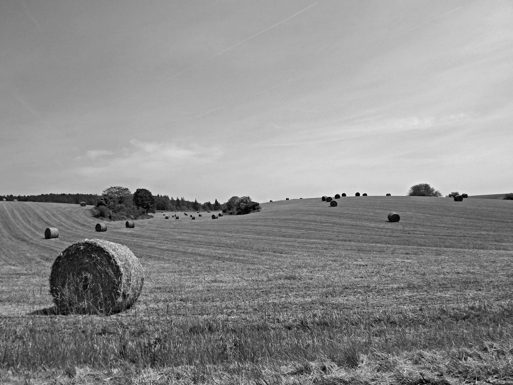 Illustration zu Heuballenbrand Rhein Neckar Kreis