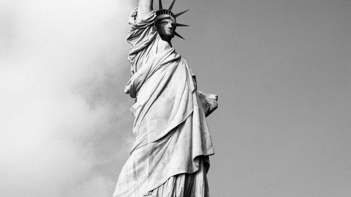 Hildesheim Schildkröte Symbolbild zum Thema Hildesheim Schildkröte