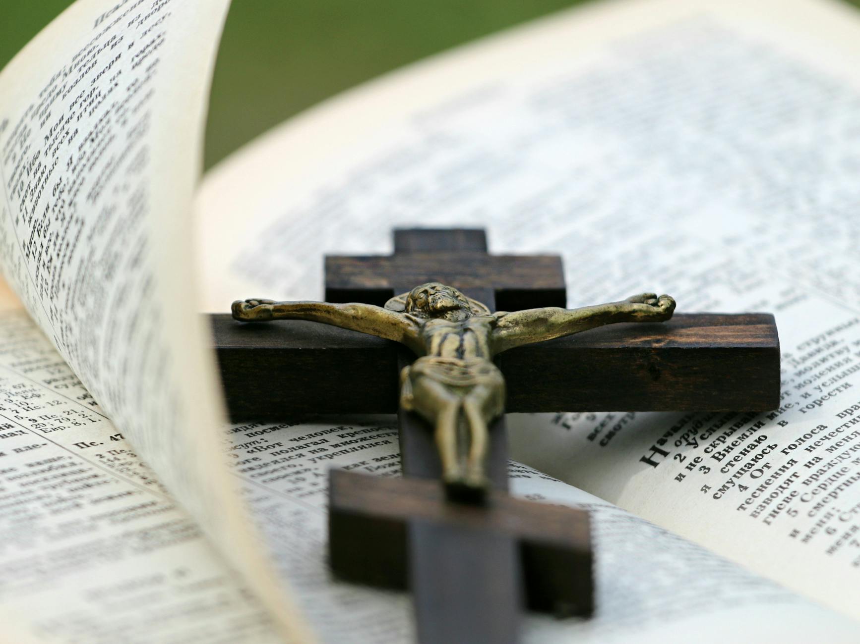 Illustration zu Holy