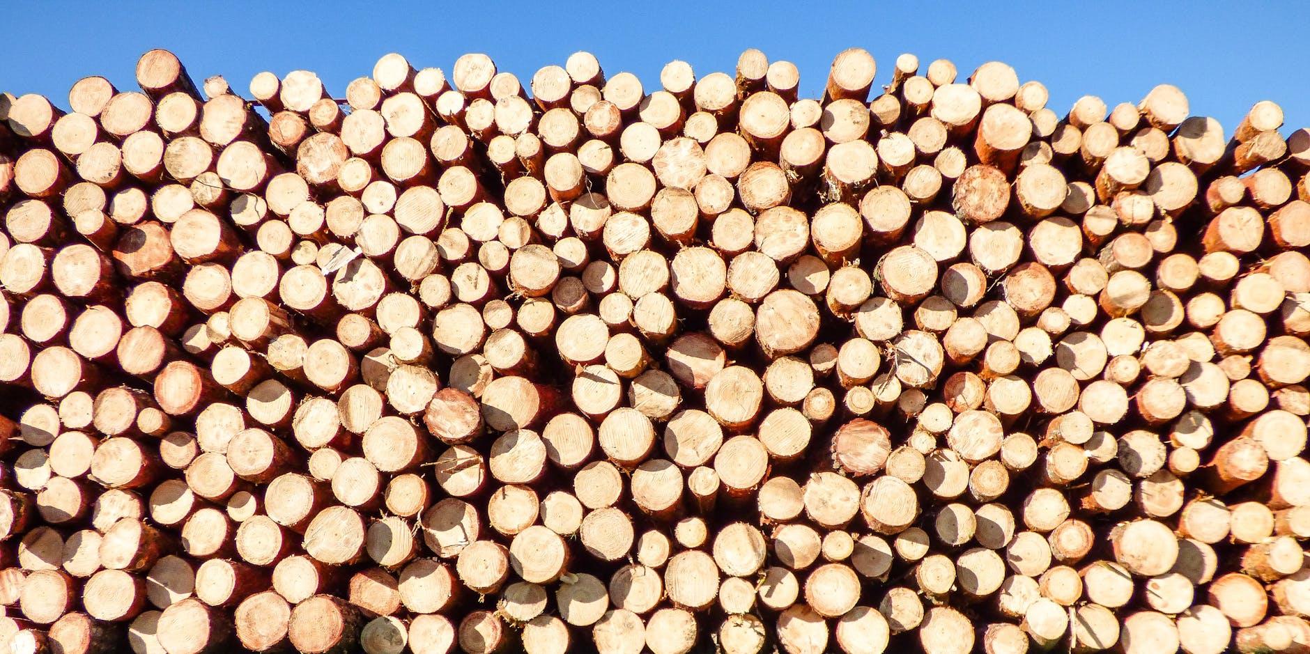 Symbolbild zum Thema Holzstapel Brand