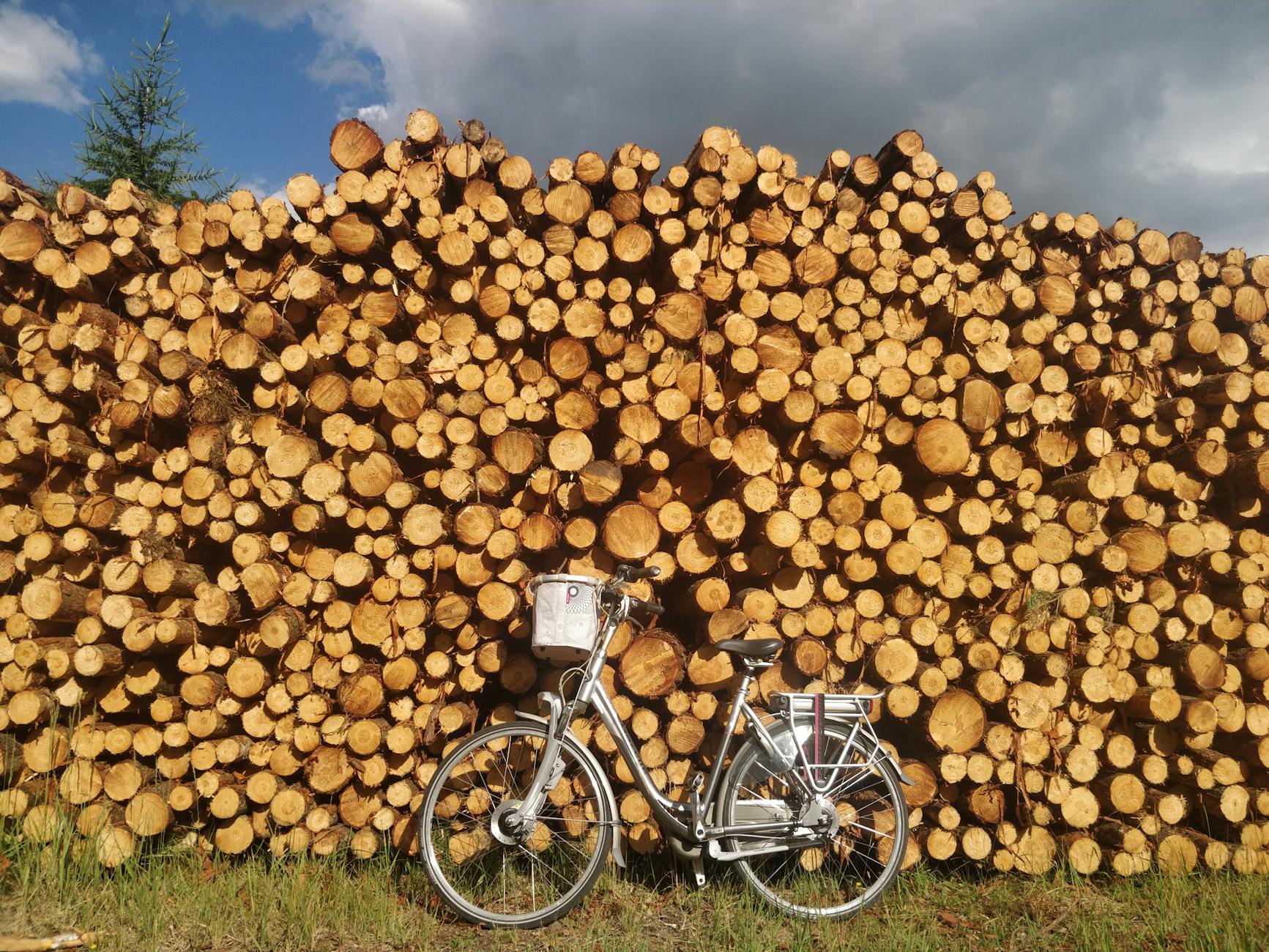 Detailansicht: Holzstapel Brand