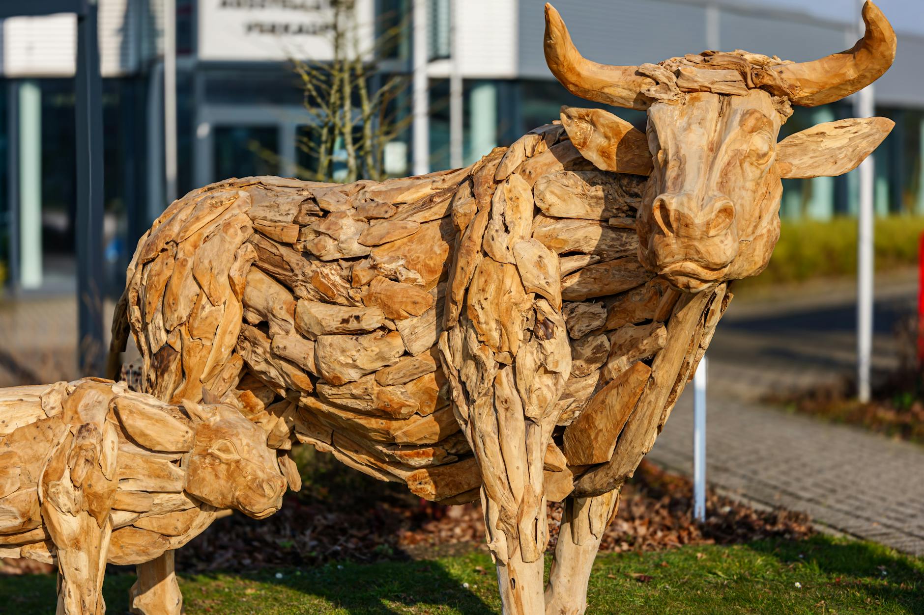 Detailansicht: Hornspäne Dünger