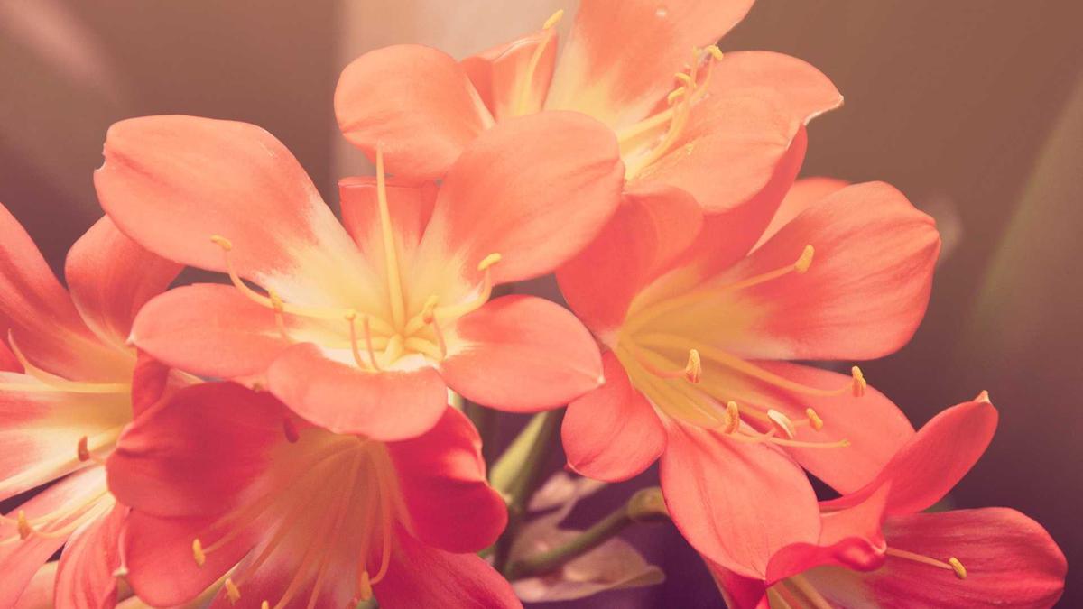 Detailansicht: Huthi Anklage München