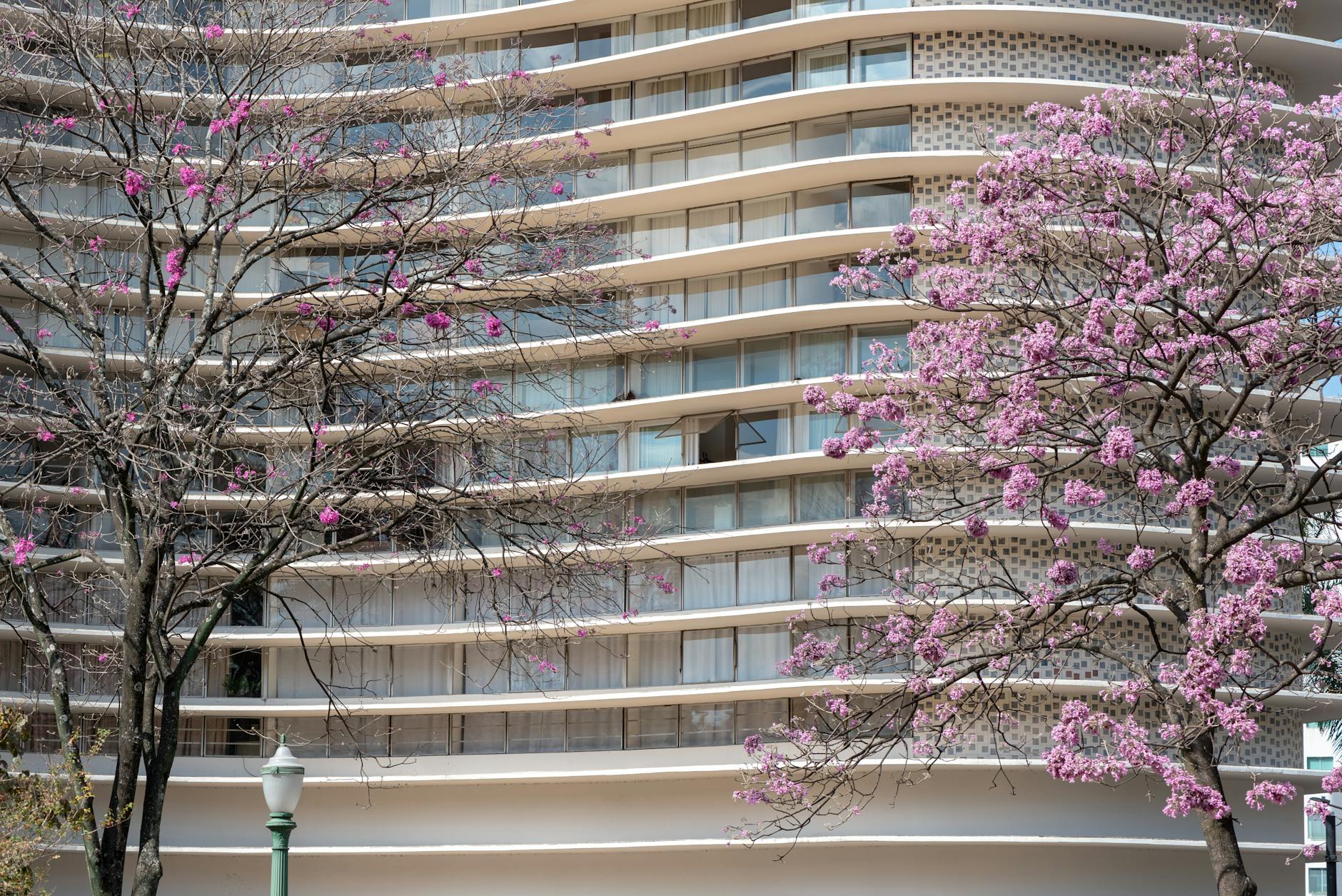 Detailansicht: Ian Mckellen Oscar