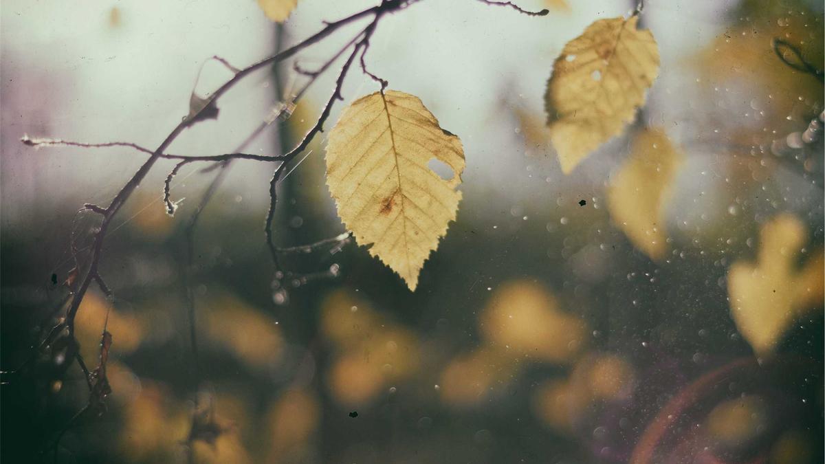 Iftar Zeiten 2026 Detailansicht: Iftar Zeiten 2026