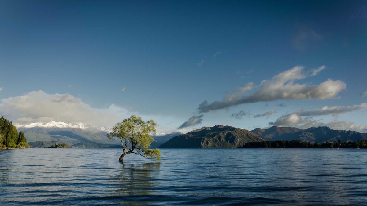 Indonesien Gaza Illustration zu Indonesien Gaza