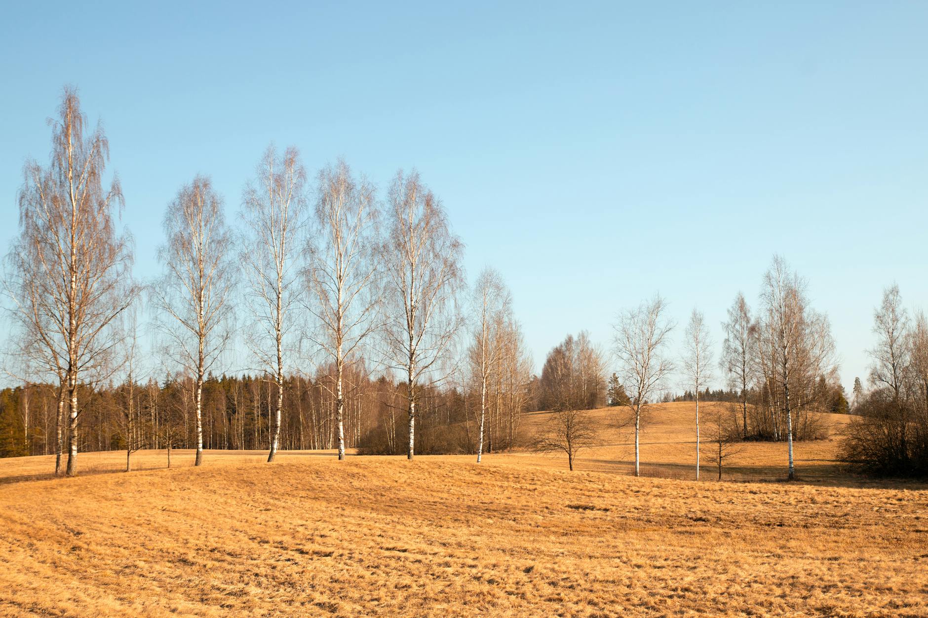 Detailansicht: Influencerin Lisa Straube