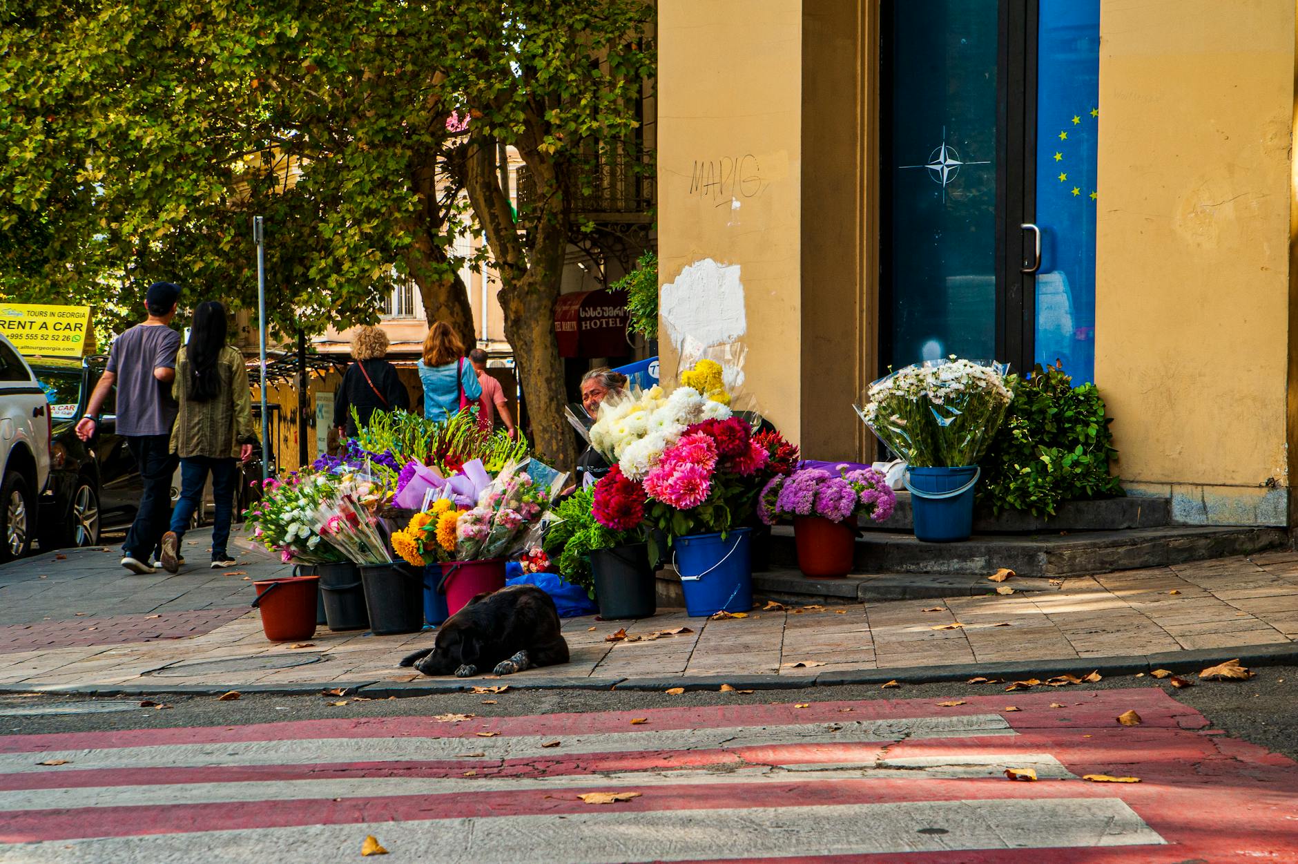 Detailansicht: Iran Krieg NATO