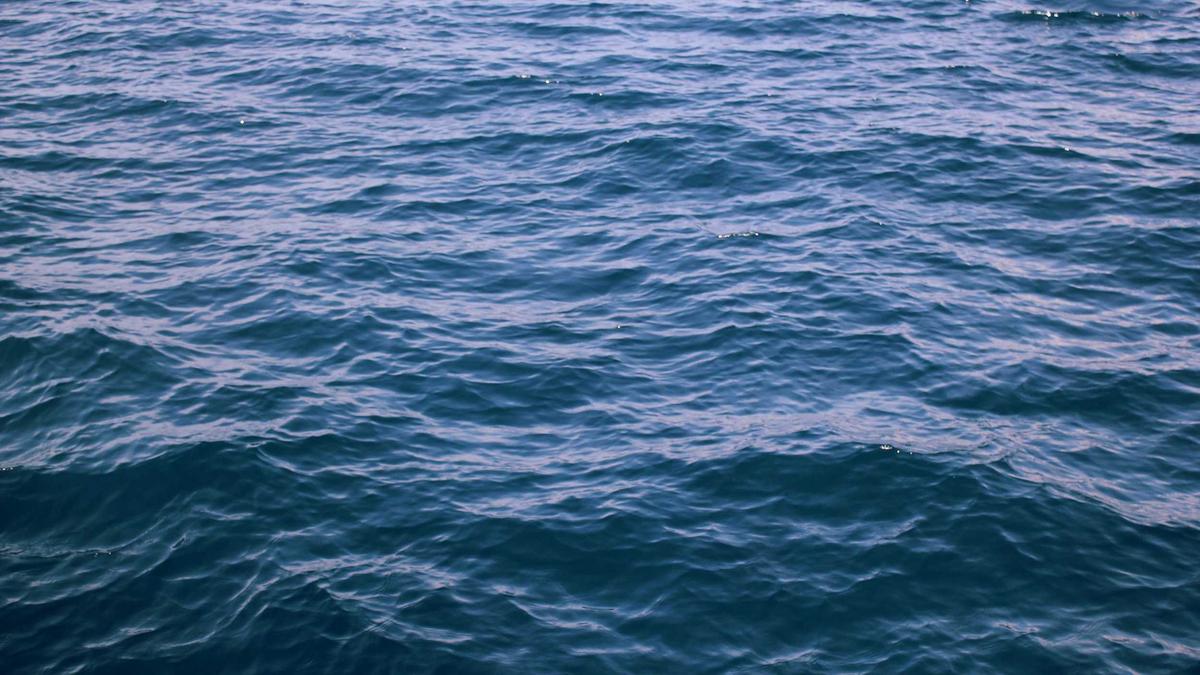 Jack Black Hochzeitstag Detailansicht: Jack Black Hochzeitstag