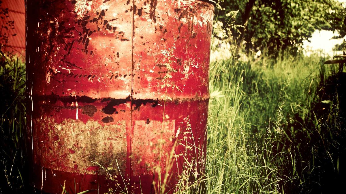 Detailansicht: Jahr Des Pferdes