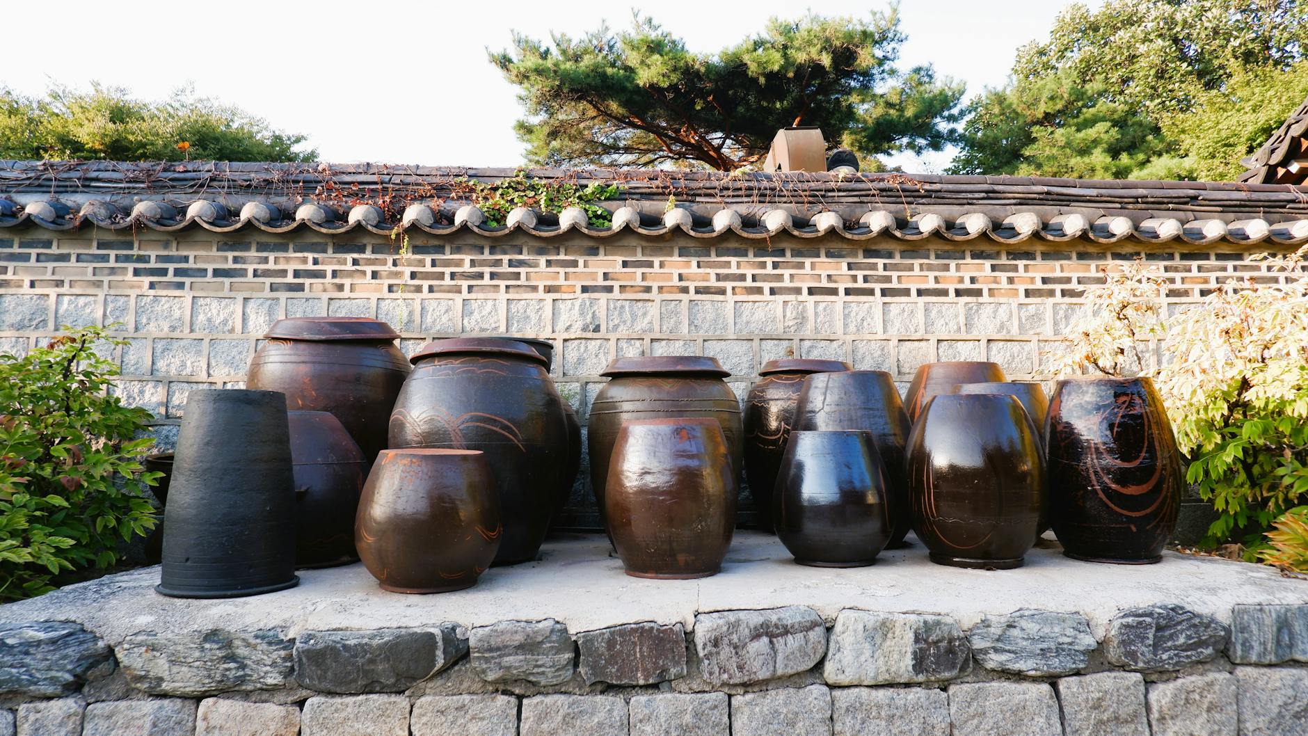 Jar Jar Binks Figur Symbolbild zum Thema Jar Jar Binks Figur