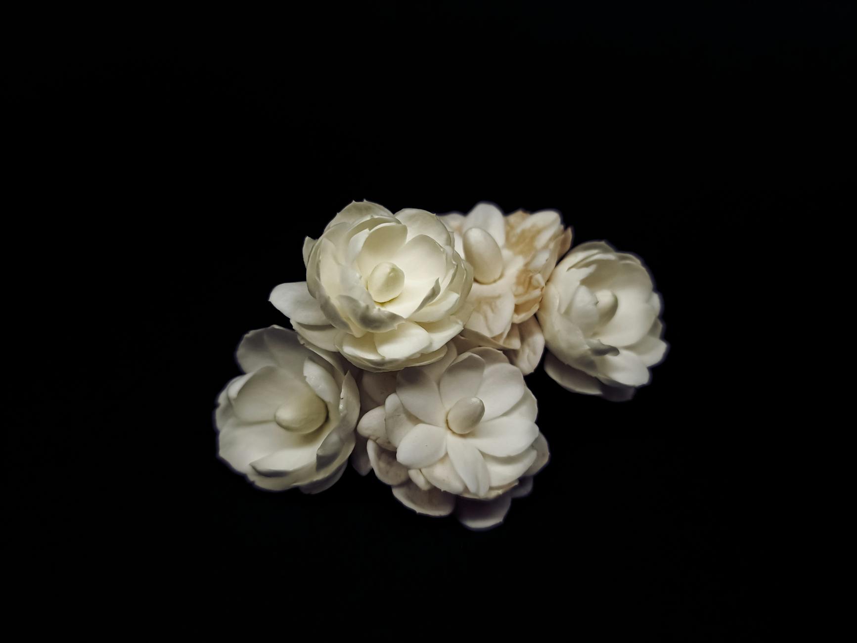 Detailansicht: Jasmin Schmidt Zwillinge