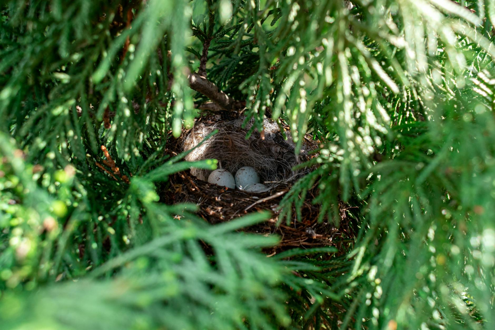 Illustration zu Jason Statham Shelter