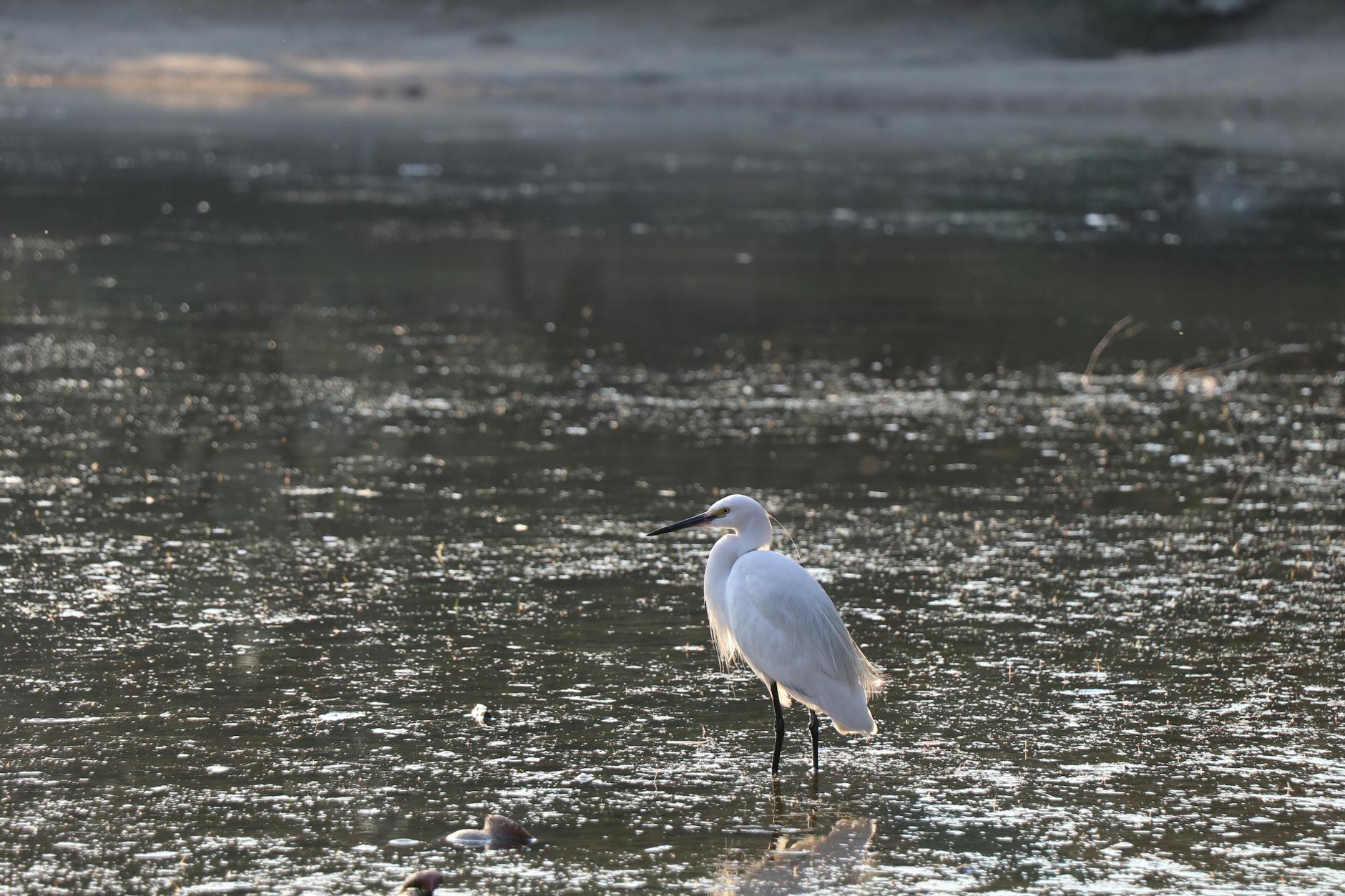 Symbolbild zum Thema Jessica Alba Scheidung
