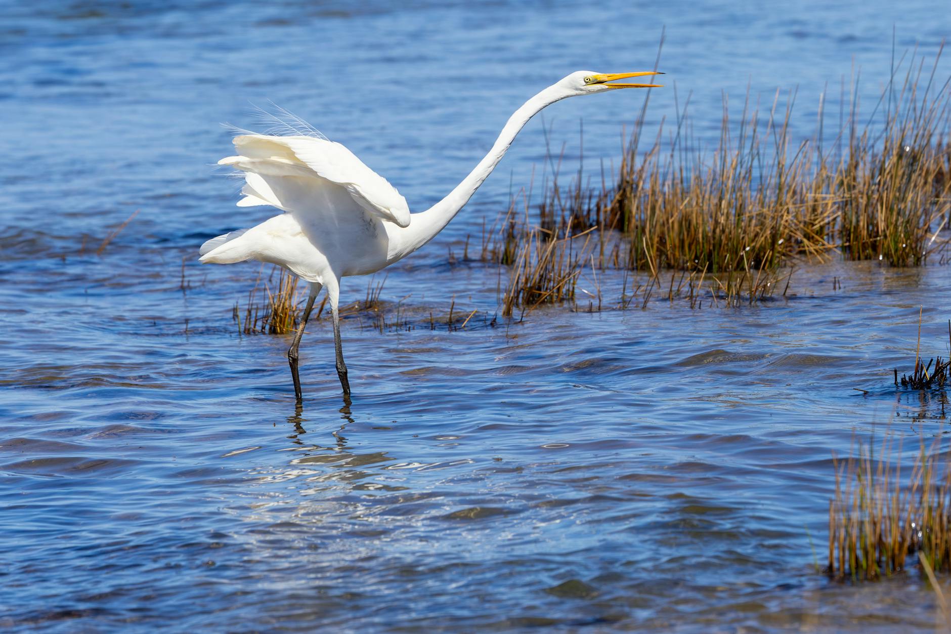 Jessica Alba Scheidung Detailansicht: Jessica Alba Scheidung