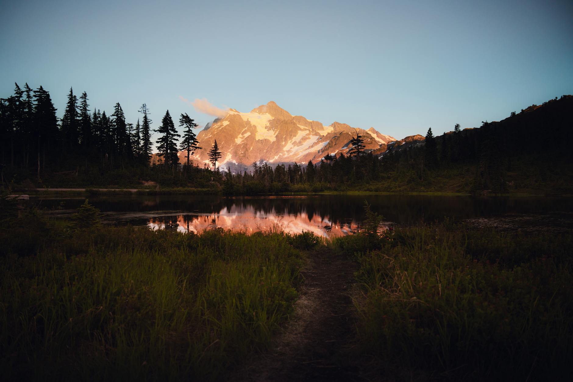 Detailansicht: Jobe Bellingham