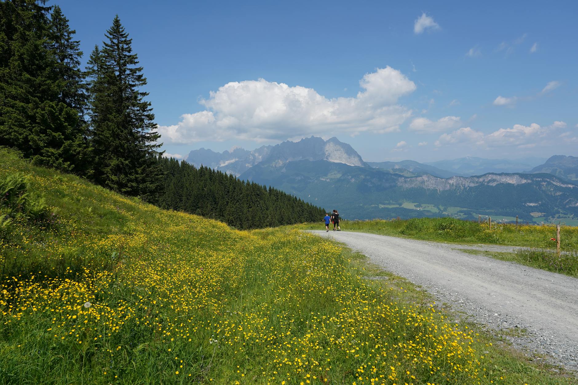 Illustration zu Johannes Oerding