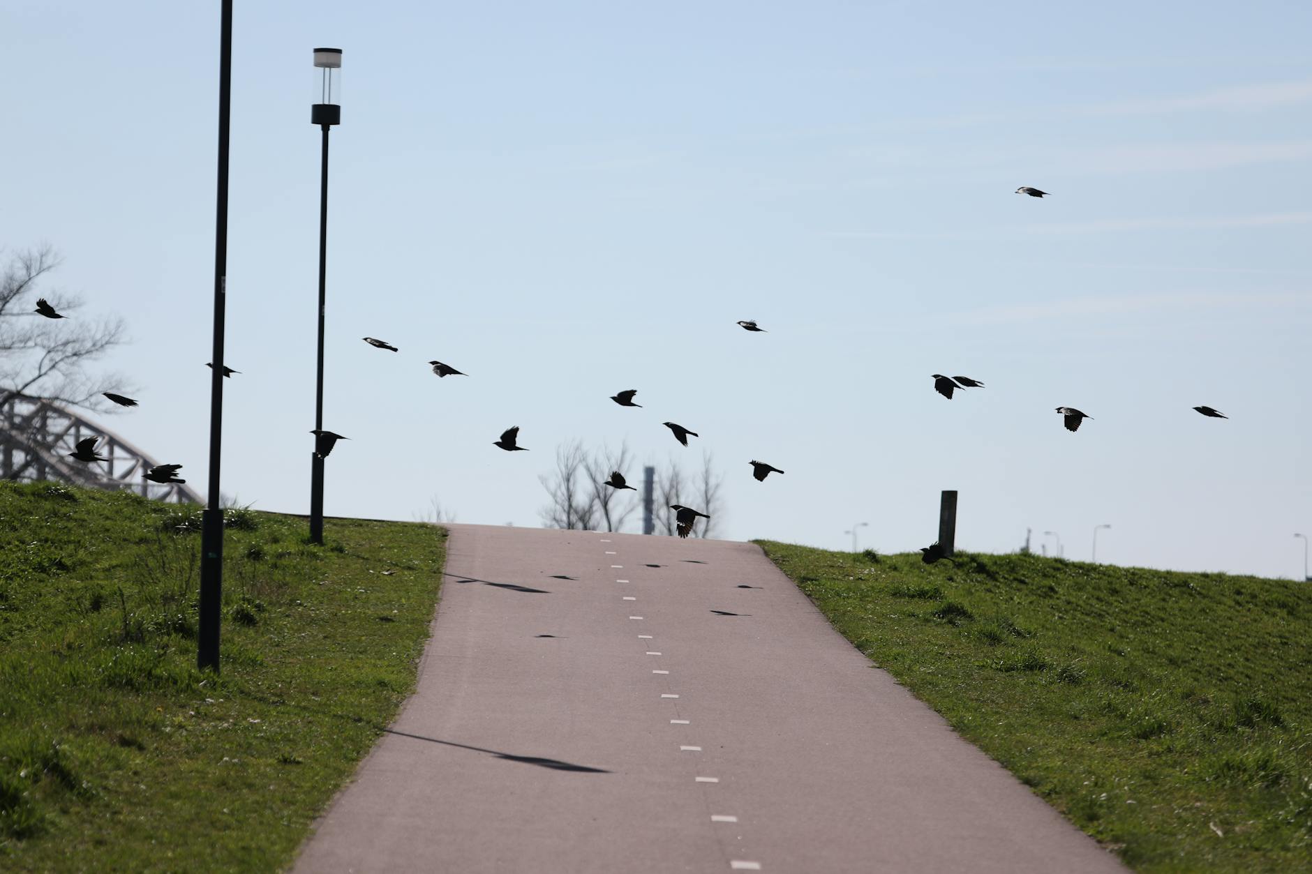 Detailansicht: Juergen Vogel