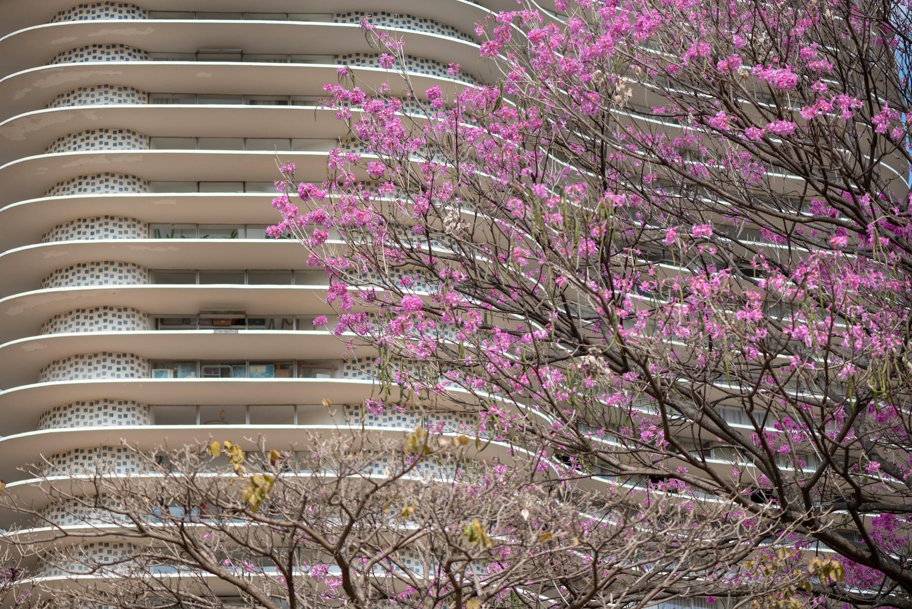 Detailansicht: Junge Schauspielerin Oscar
