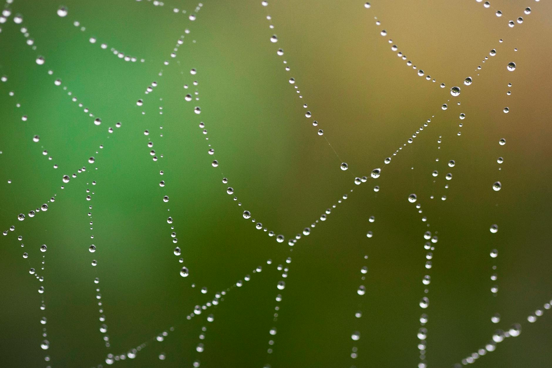 Kantonspolizei Aargau Illustration zu Kantonspolizei Aargau