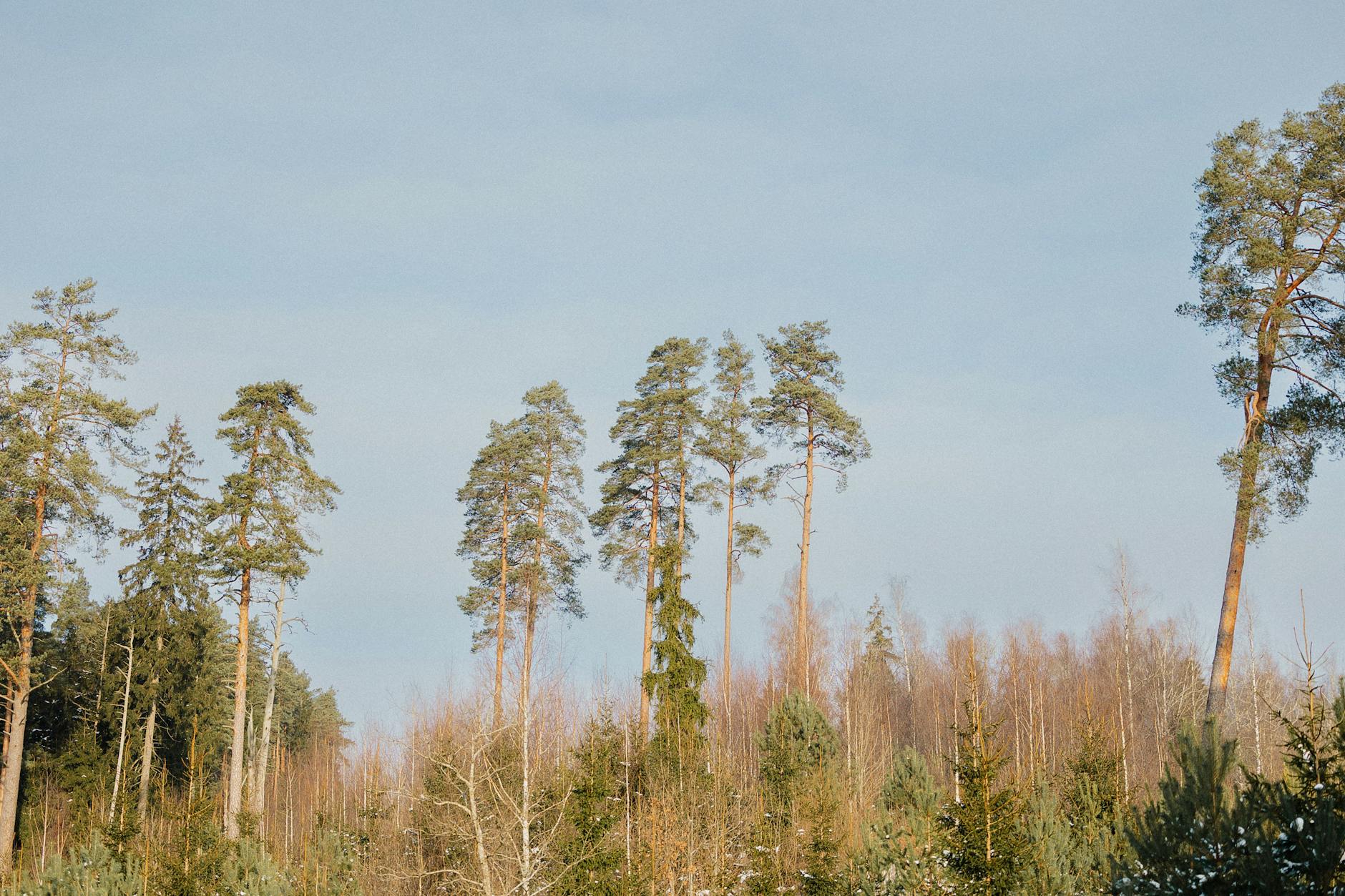 Kantonspolizei Aargau Detailansicht: Kantonspolizei Aargau