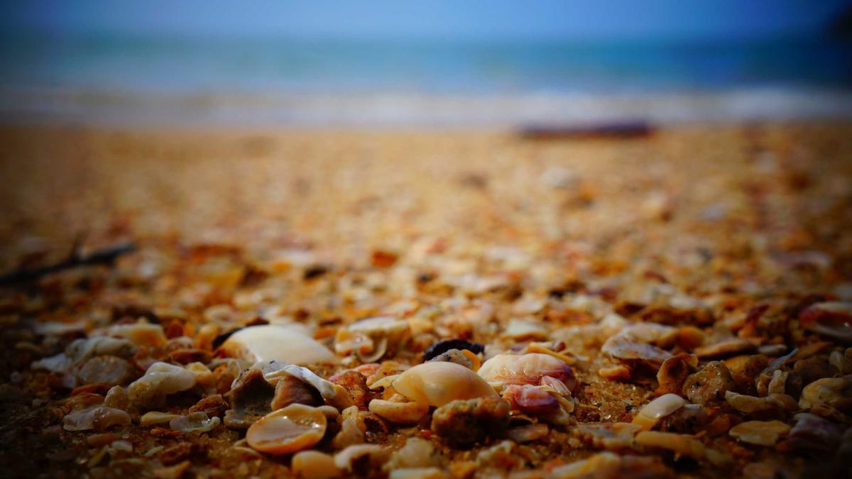 Kapo Bern Symbolbild zum Thema Kapo Bern