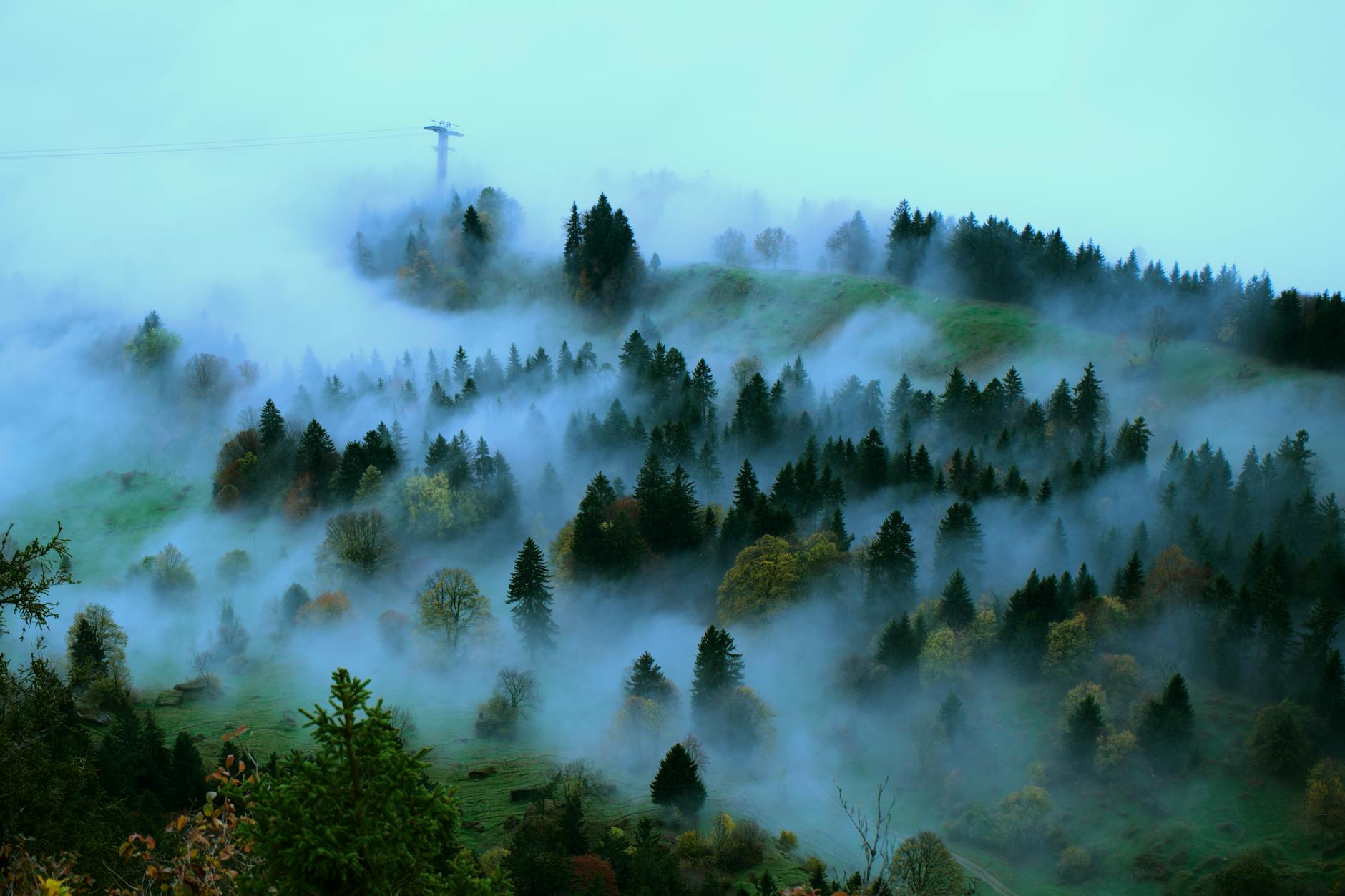 Detailansicht: Kapo Schwyz TikTok