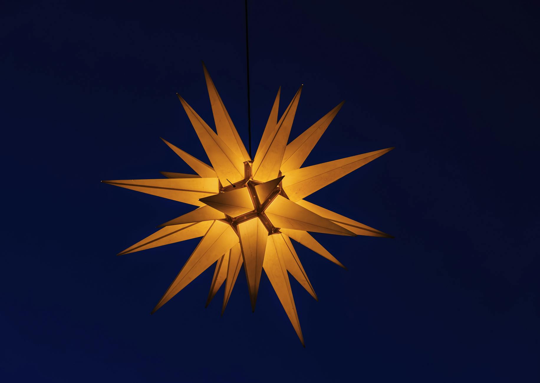 Detailansicht: Karoline Herfurth Blaue Blume