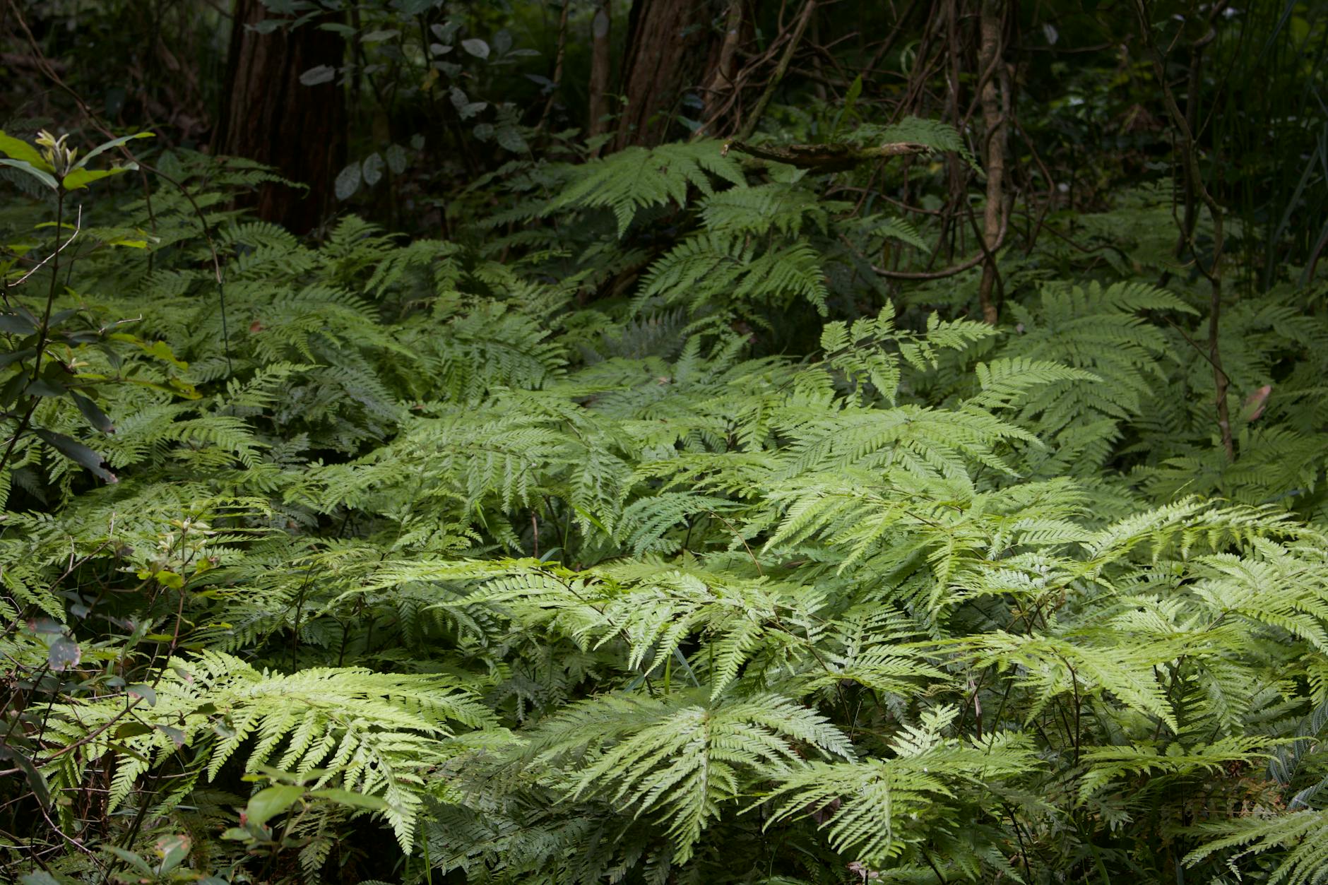 Symbolbild zum Thema Keira Knightley