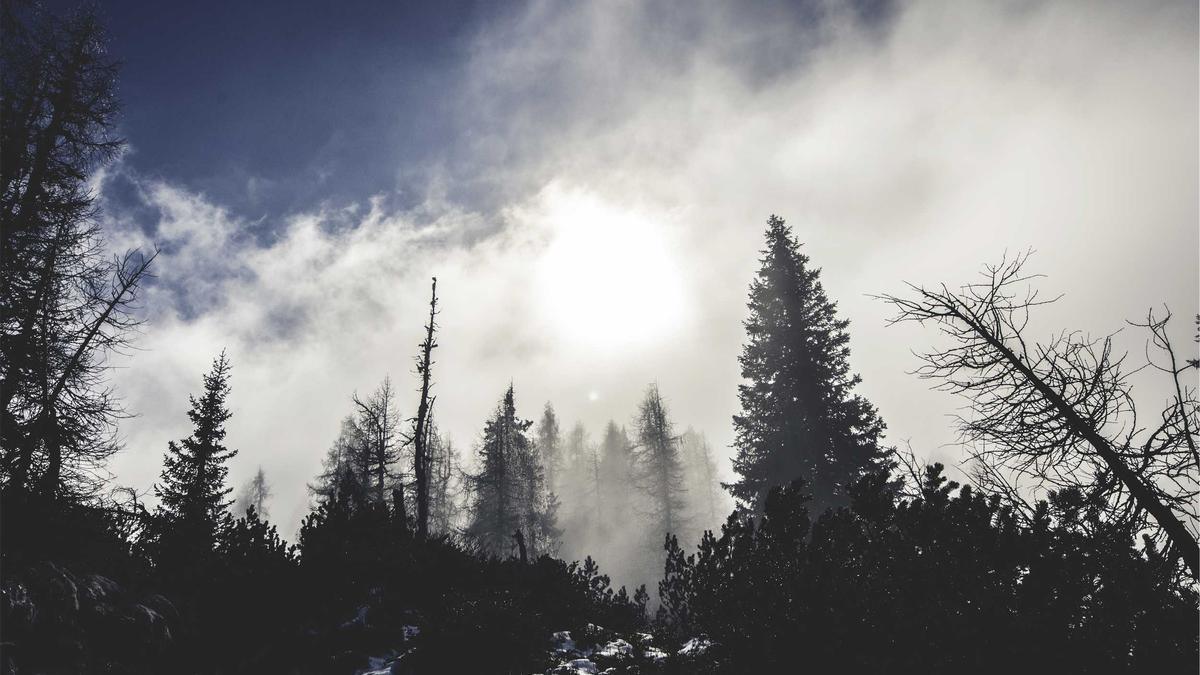 KFW Förderung Illustration zu KFW Förderung