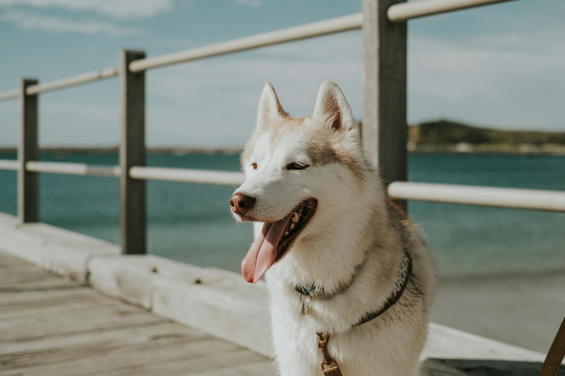 Symbolbild zum Thema Klaus Peter Wolf