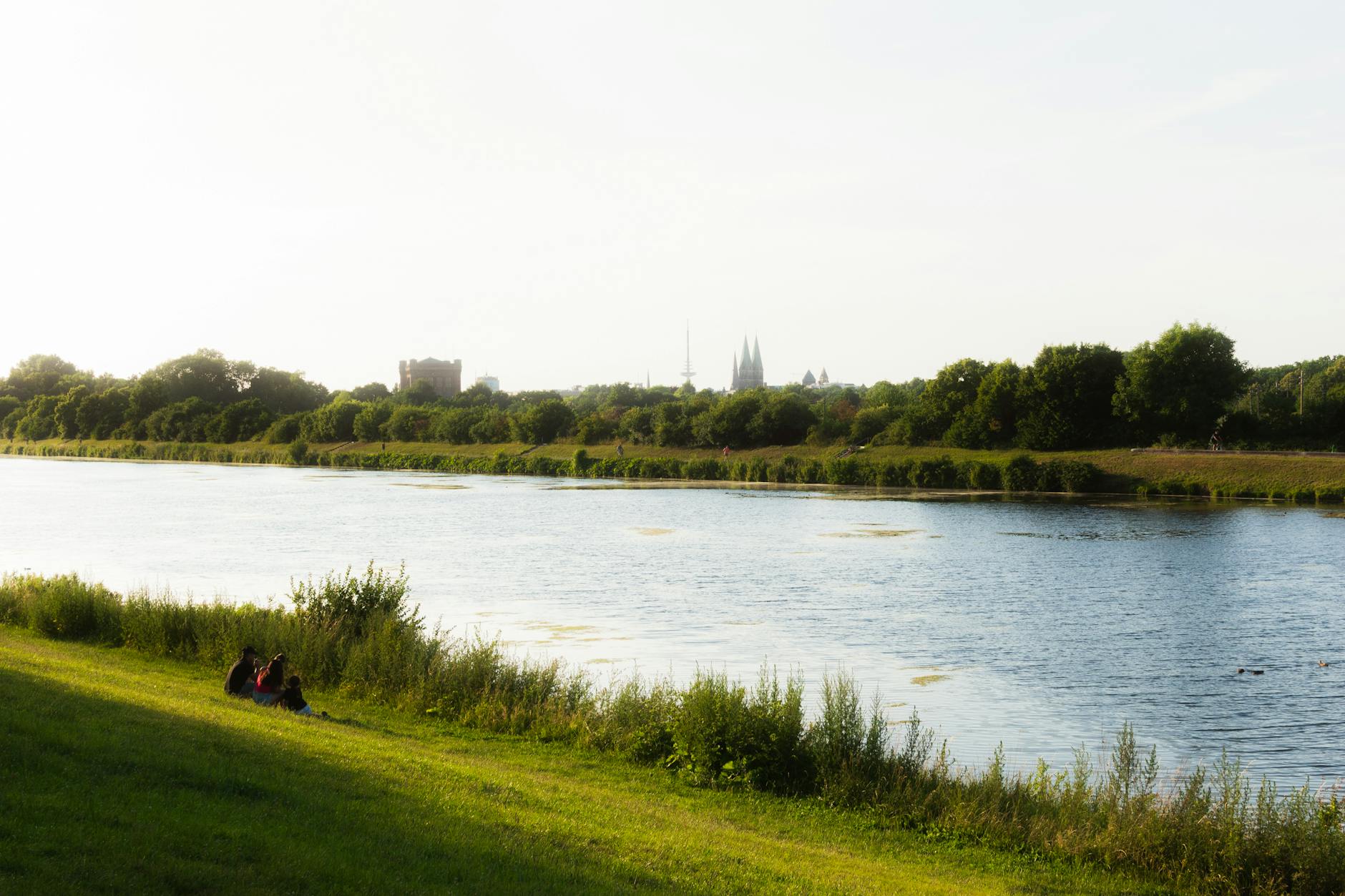 Köln – Werder Bremen Illustration zu Köln – Werder Bremen