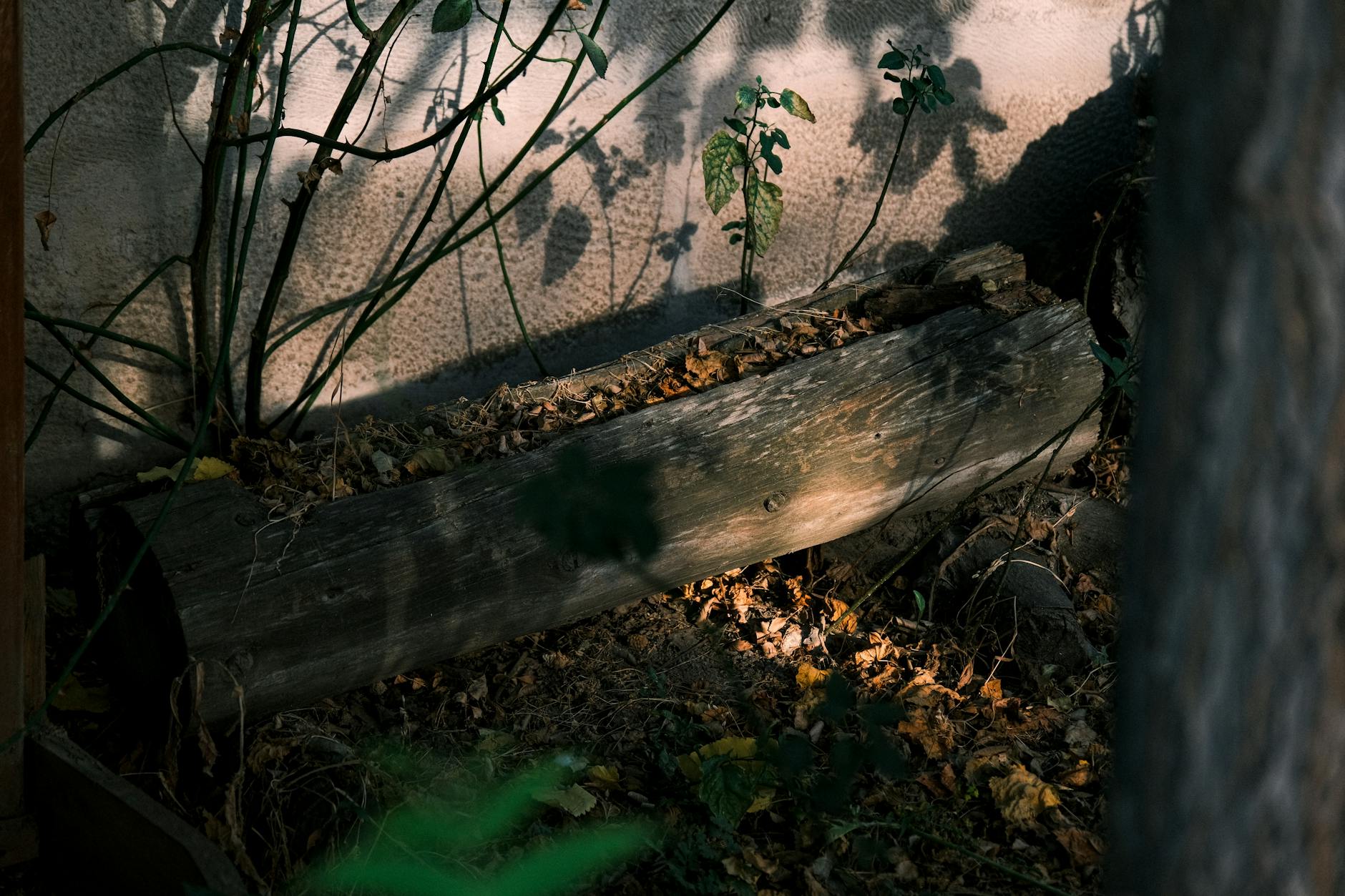 Detailansicht: Komposter Garten