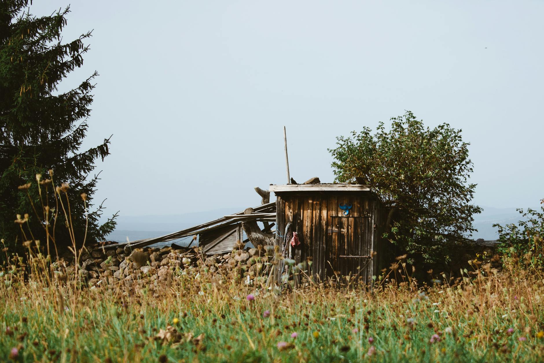 Komposttoilette Garten Illustration zu Komposttoilette Garten