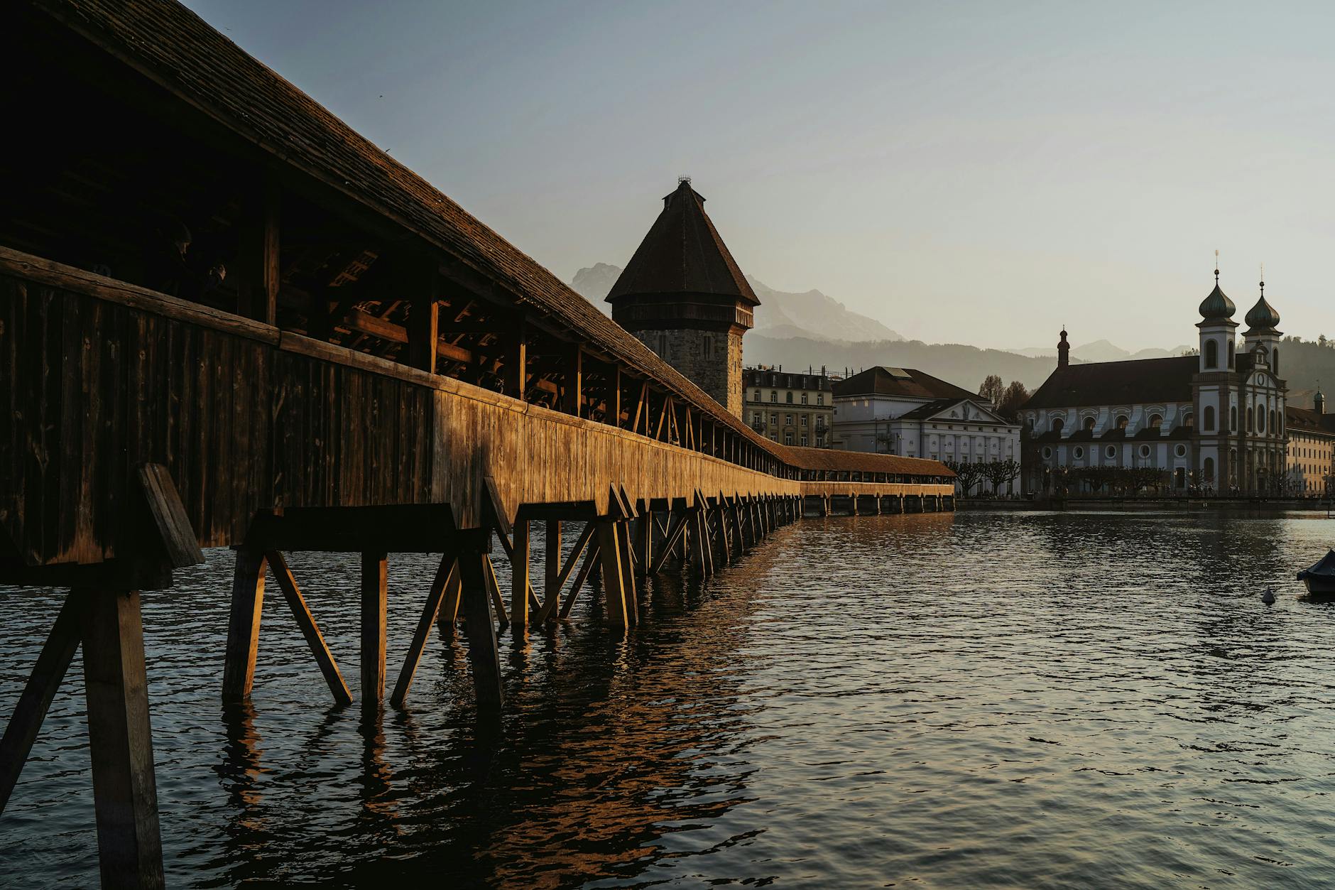 Illustration zu Krähenplage Luzern