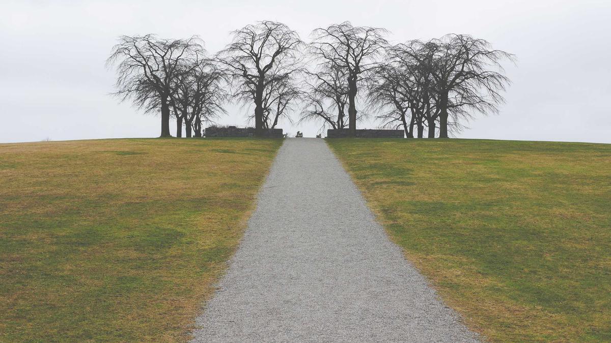 Symbolbild zum Thema Krankenversicherung Ehepartner