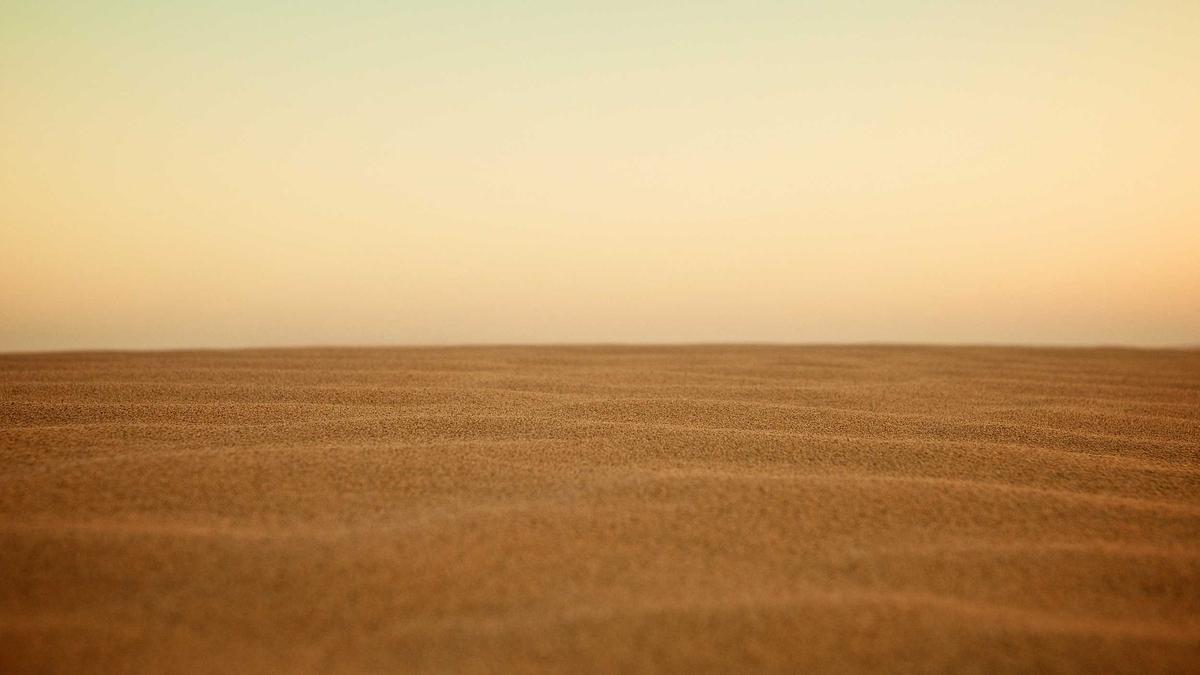 KRC Genk Detailansicht: KRC Genk